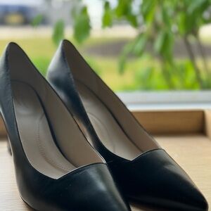 Sleek Black Stiletto Heels with Pointed Toe